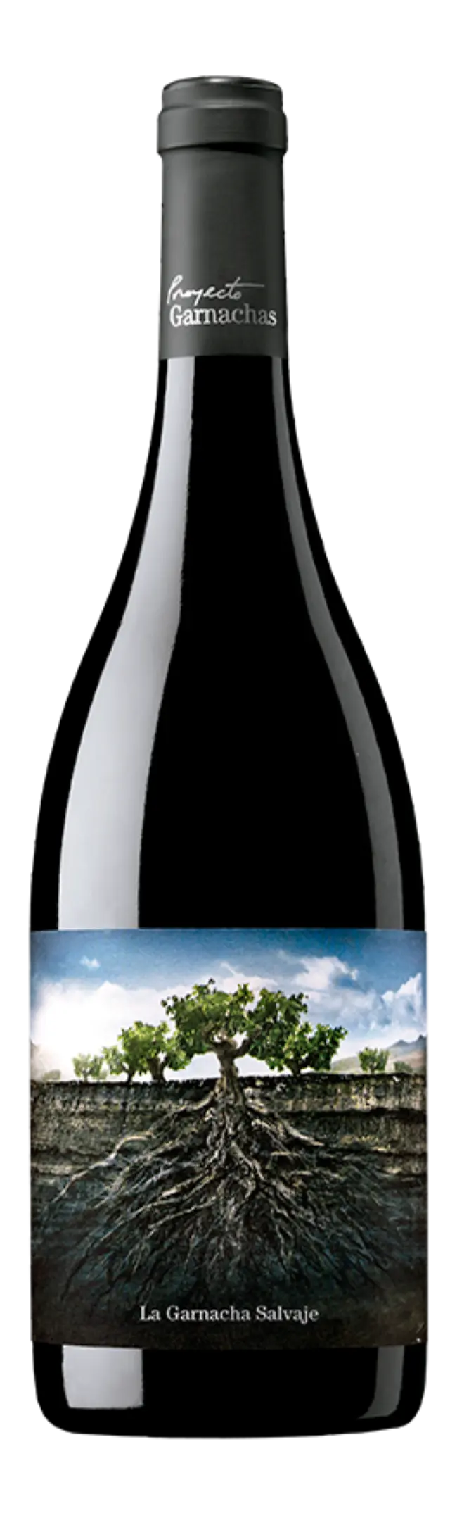 LA GARNACHA SALVAJE DEL MONCAYO 2019 ΕΡΥΘΡΟ 750ML