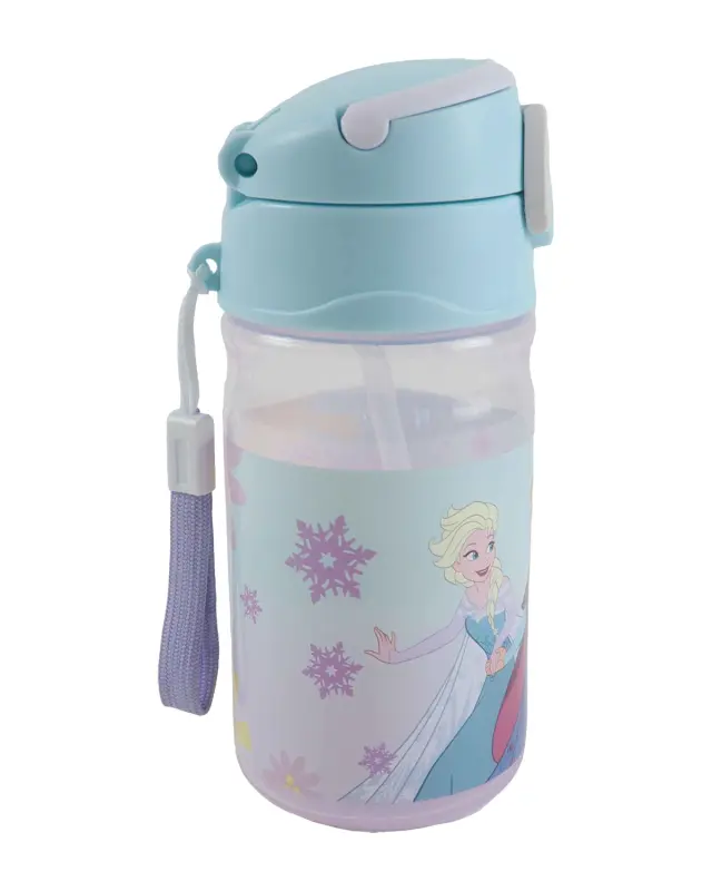 Παγούρι Disney Frozen 350ml 3