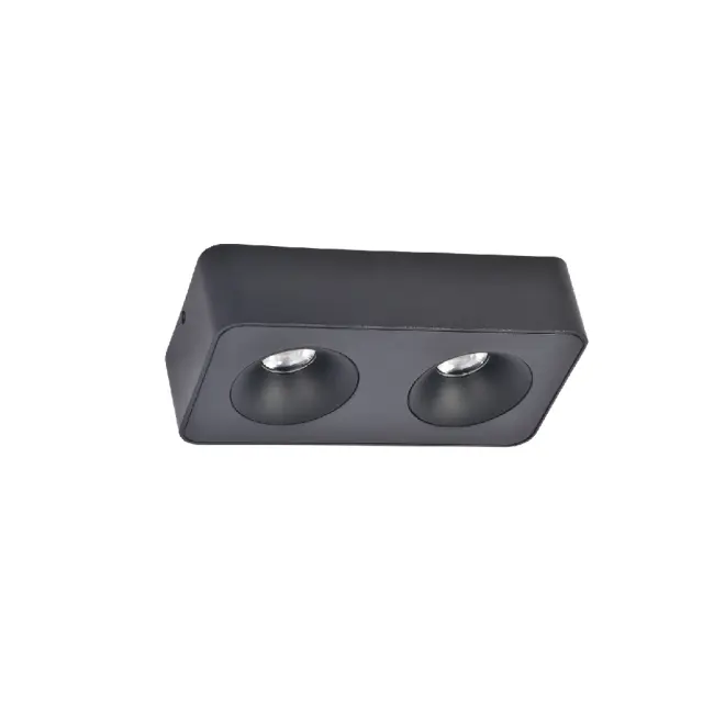 InLight Downlight Mounted σποτ 2*8W 3CCT σε μαύρη απόχρωση (X00270B) 2