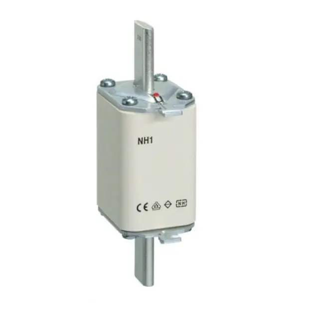 NH1/WT-1 gG 200/500V