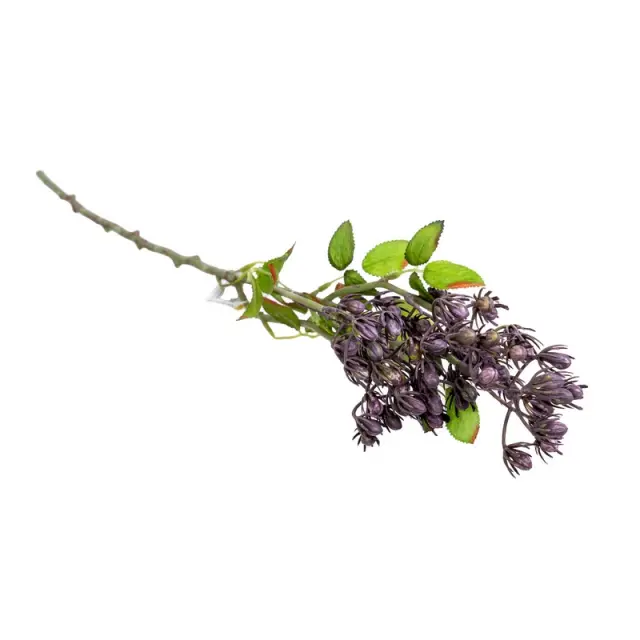 Τεχνητό κλαδί με μπουμπούκια, μωβ, 73cm