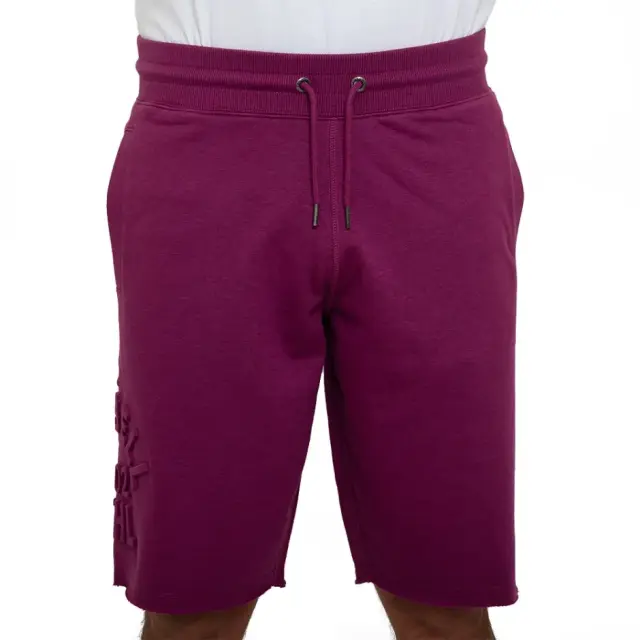 Russell Athletic Gamma Seamless Αθλητική Ανδρική Βερμούδα A3-061-1-673 Μωβ - M 2