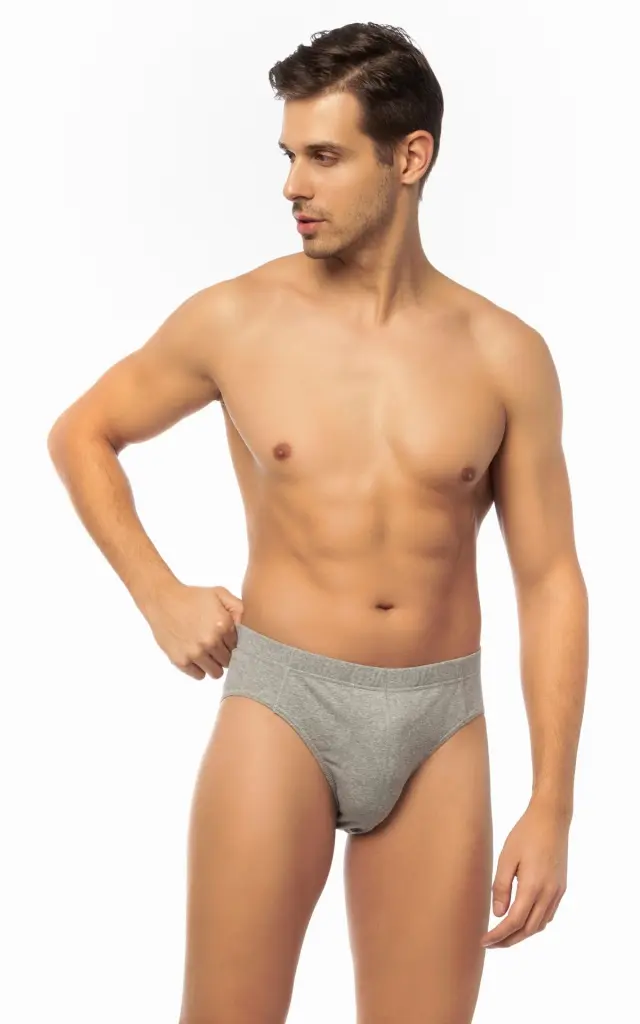 Comfort 2 Ανδρικό Βαμβακερό Σλιπ με Εσωτερικό Λάστιχο 2 τεμάχια Minerva - ΓΚΡΙ ΜΕΛ.ΣΚ.