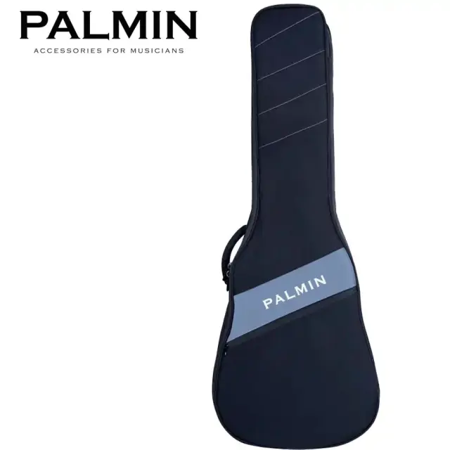 PALMIN PALMIN-D-GY Acoustic Guitar case, Grey 3