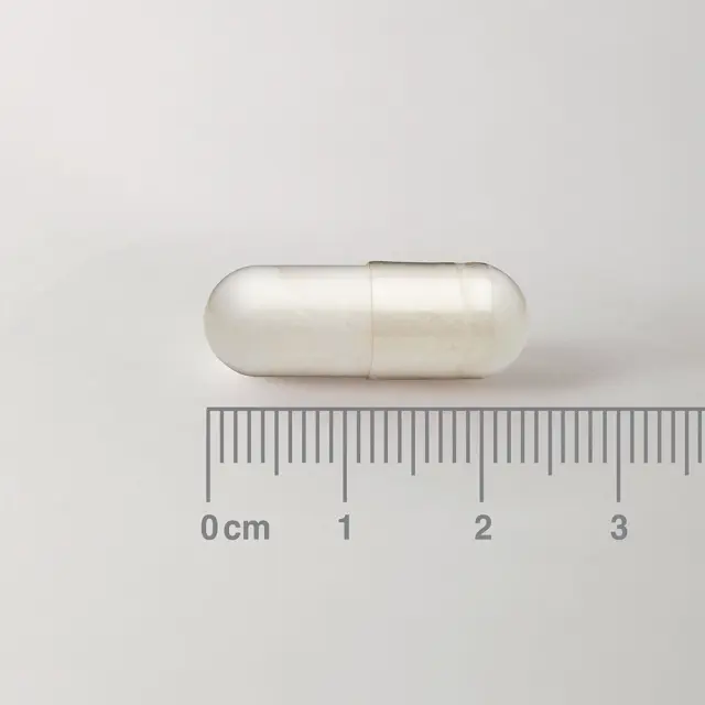 LAMBERTS Acetyl L-Carnitine 500 mg Συμμετέχει στην Απομάκρυνση των Τοξικών Προϊόντων του Μεταβολισμό, 60caps 2