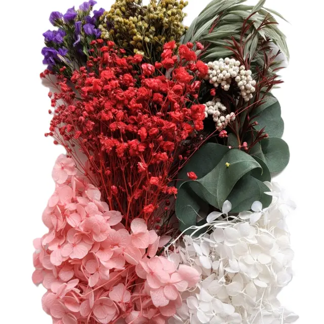 Αποξηραμένα λουλούδια mix, Red & Pink