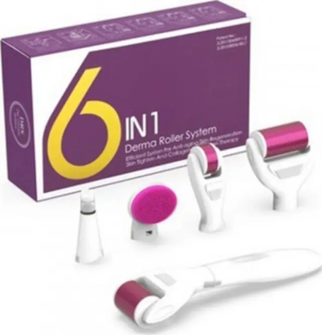 Derma Roller Σετ 6 σε 1 Βελόνες Τιτανίου 0.5-2mm