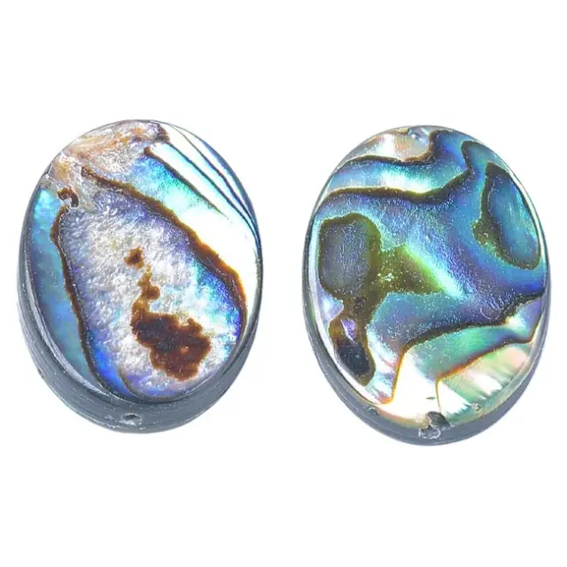 Χάντρα Abalone Shell Πλακέ Οβάλ 18x13mm - 2τεμ