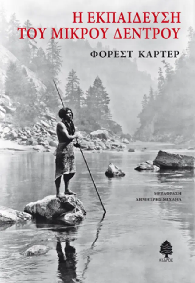 Η εκπαίδευση του Μικρού Δέντρου