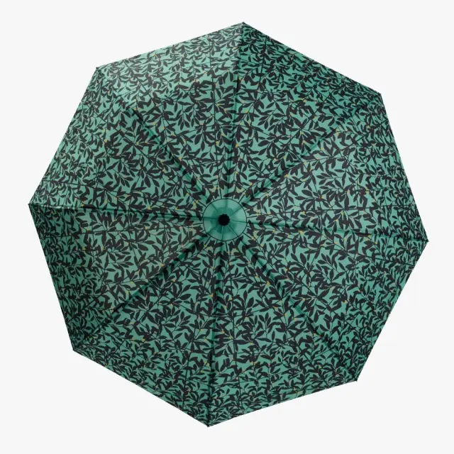 Cedon Easy Ομπρέλα Αυτόματη / Folding Umbrella: Secession