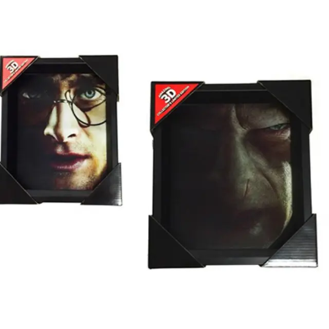 Pyramid HARRY POTTER - Harry vs Voldemort - 3D Lenticular Poster 26x20cm Καδρο σε Καμβα (EPPL71335)