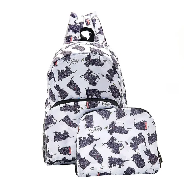Eco Chic Αναδιπλούμενο Σακίδιο Πλάτης / Recycled Foldable Backpack (10 σχέδια) Scotty