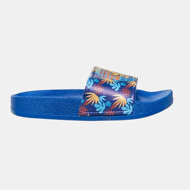 Slides Disney Lion King