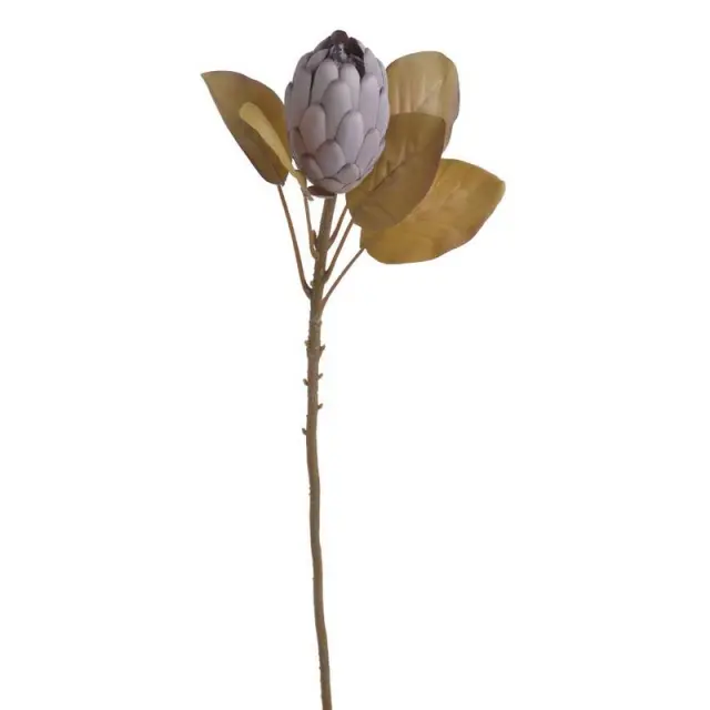 Πρωτέα λουλούδι κλειστό, μωβ 66cm