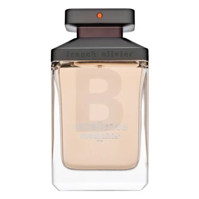 Franck Olivier Excellence Eau de Toilette for men 100 ml