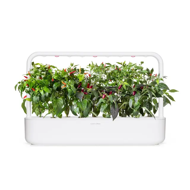 Click and Grow Συσκευασία Σπόρων με Χώμα, για Μείγμα με Πιπεριές Chili – 9τμχ 2