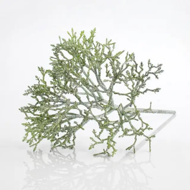 Κλαδί Κοραλί Μέντα 45cm