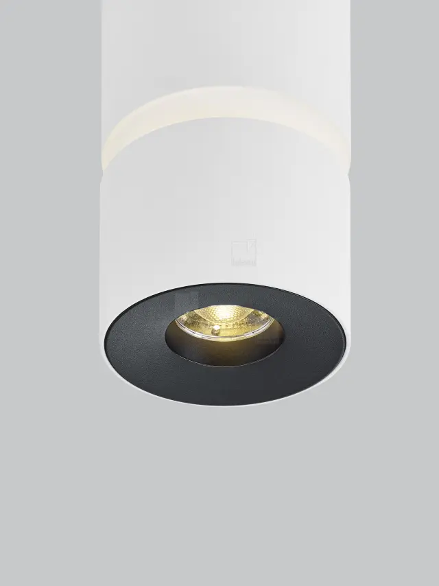 ROK Ceiling Luminaire Λευκό Ματ LED 10W Ρυθμιζόμενη Δέσμη 20°–60° Άσπρο 2