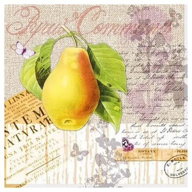 Χαρτοπετσέτα για Decoupage, 1 τεμ