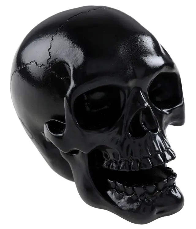Νεκροκεφαλή Μαύρη Skull Black 7 x 11.5 x 9.5 εκ