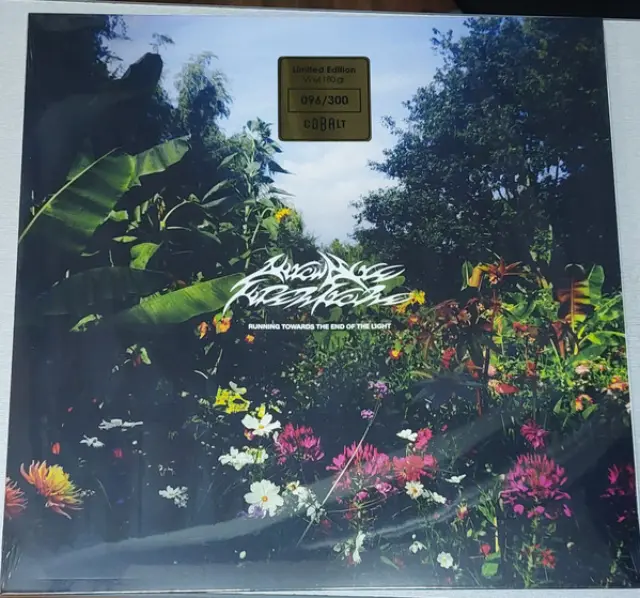 Autow Nite Superstore - Running Towards the End of the Light (Vinyl)