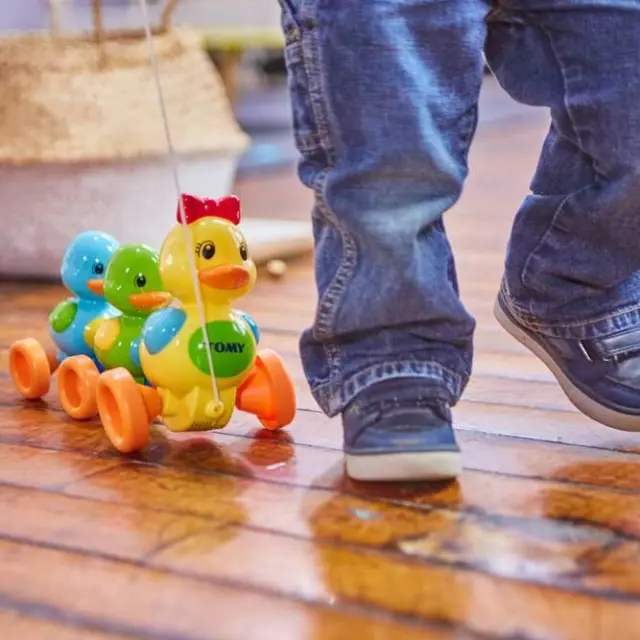Tomy Toomies Βρεφικό Παιχνίδι Παπάκια Στη Σειρά Για 10+ Μηνών 3