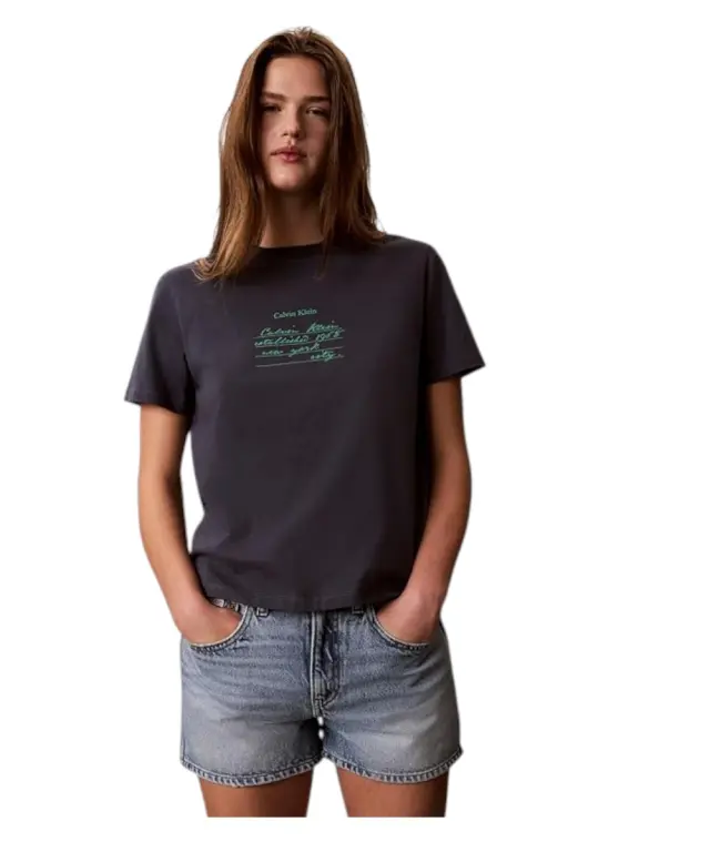 Calvin Klein - Γυναικείο T-Shirt SS Classic Handwriting Logo Tee LV047G800G-4XN Γκρι 3