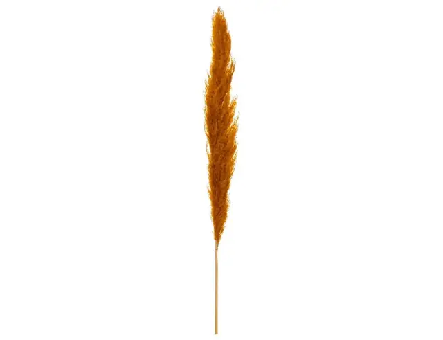Διακοσμητικά κλαδιά Pampas Atmosphera - 109cm - 3 τεμάχια 179282C 2