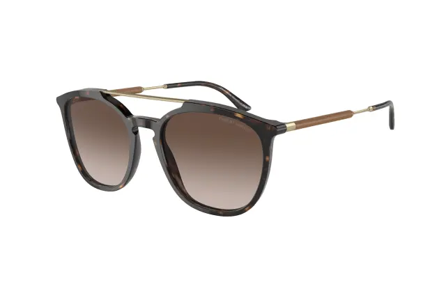 GIORGIO ARMANI AR8198 5026/13 54-19-145