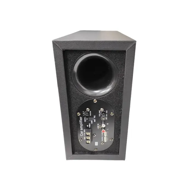 Pervoi Subwoofer Αυτοκινήτου 12V CTC-8031 - Active subwoofer Z891044 3