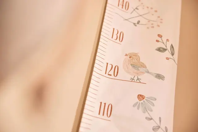 Αναστημόμετρο Lovely Birds - Jollein 3