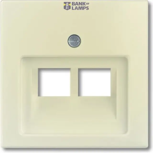 Cover plate Basic 55 2×RJ45 ivory