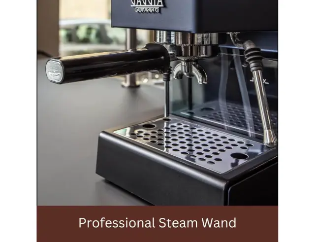 Μηχανή Espresso Gaggia Classic Evo RI9481/15 με πίεση 15 Bar και ισχύ 1200W RI9481/15