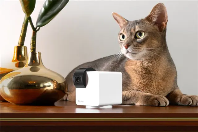 PetCube Cam 360 2