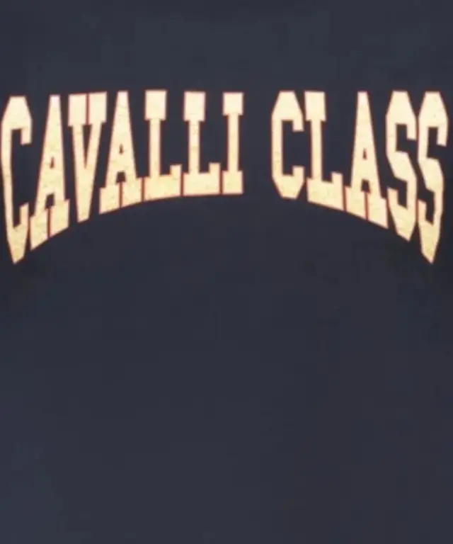 Cavalli Class - Ανδρική Μπλούζα T-Shirt Κοντομάνικη Short Sleeve TXT61AJD060-04502 Μπλε 3