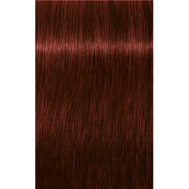 Schwarzkopf Professional Igora Royal Absolutes 5-80 Καστανό Ανοιχτό Κόκκινο Φυσικό 60ml
