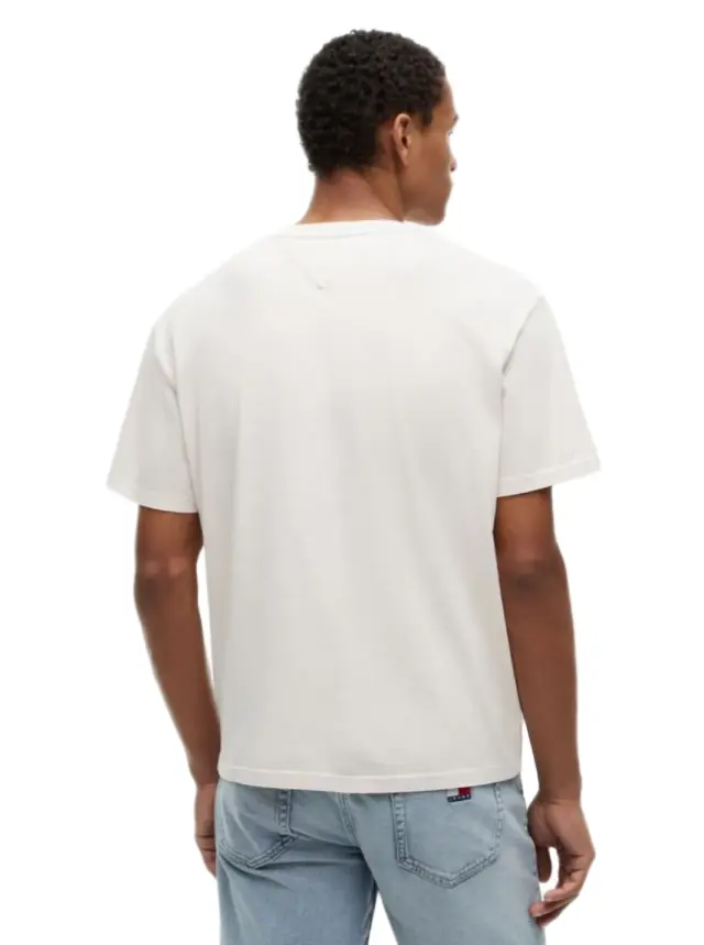 TommyHilfiger ανδρικό t-shirt με λογότυπο DM0DM23180-2 2