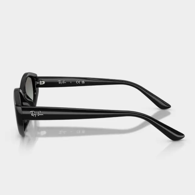 Γυαλιά Ηλίου Ray Ban RB4473D 667711 Μαύρο - 56 3