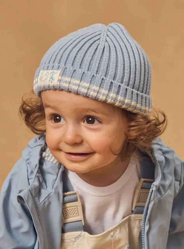 Βρεφικός Σκούφος για Αγόρια Baby Blue Friends ΜΠΛΕ 2