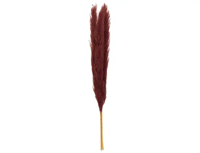 Διακοσμητικά κλαδιά Pampas Atmosphera - 109cm - 3 τεμάχια 189145