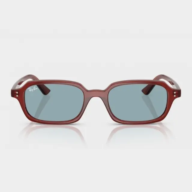 Γυαλιά Ηλίου Ray Ban RB4455 680980 Καφέ - 49 2
