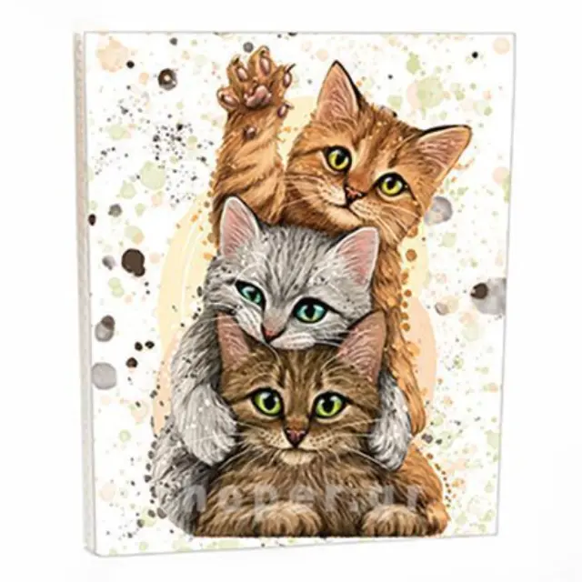 Άλμπουμ pocket με θήκες για 36 φωτογραφίες 10Χ15 3 cats