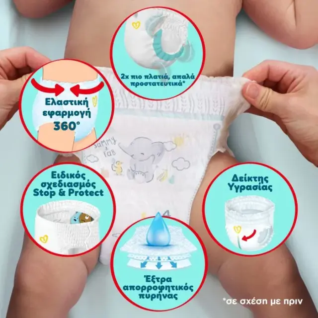 Pampers Πάνες Βρακάκι Premium Care Monthly Pack No. 6 για 13-19kg 96τμχ 3