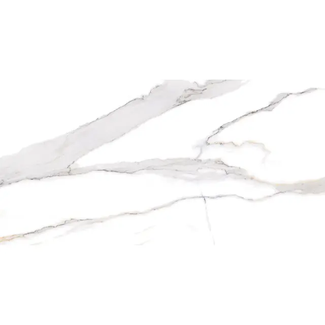 Πλακάκι Swan Satvario 60x120