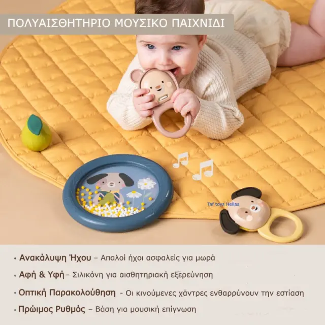 Σετ Μουσικής Ανακάλυψης Taf Toys T-13875 2
