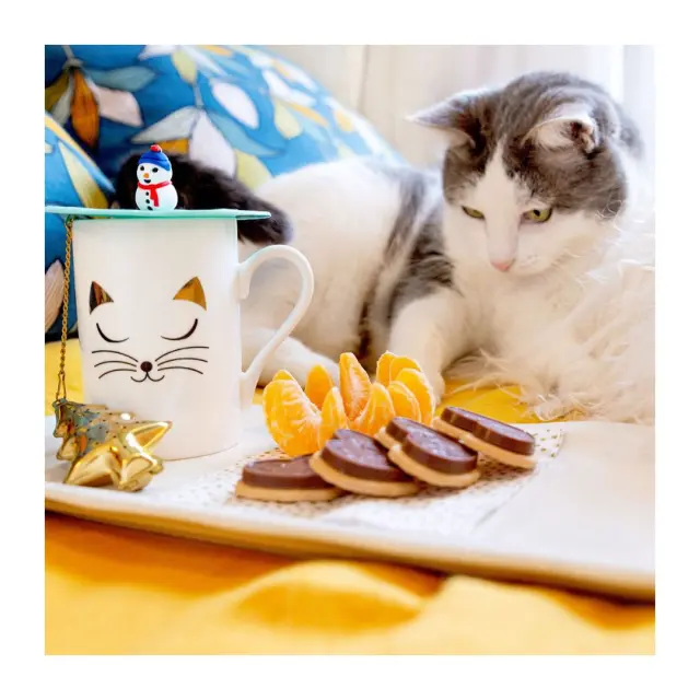 Pylones Πορσελάνινη κούπα (300ml): Schluck (7 σχέδια) White cat 3