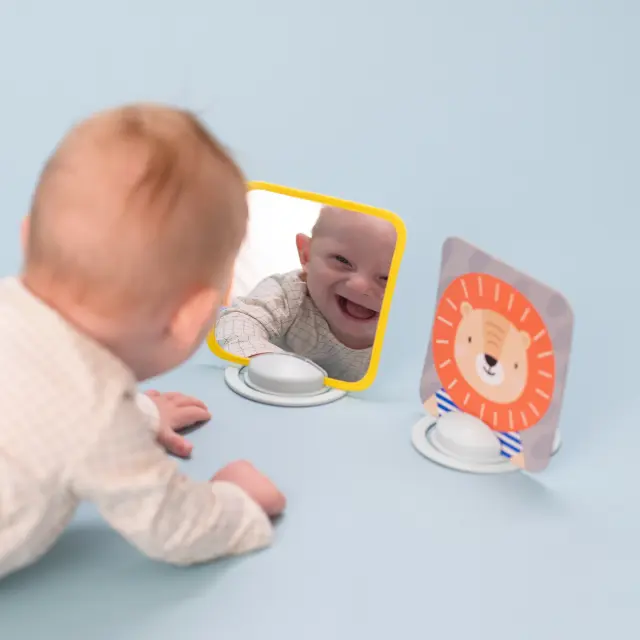 Taf Toys MY 1ST TUMMY-TIME CARDS 3