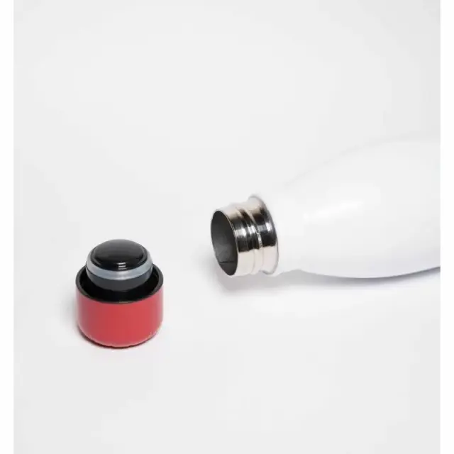 Μεταλλικό Μπουκάλι Hot+Cold 500ml FRIDA KAHLO 3
