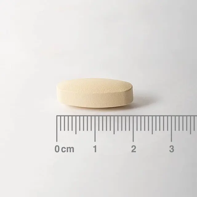 Lamberts  | Rutin and Vitamin C 500 mg plus Bioflavonoids | 90 tabs 2