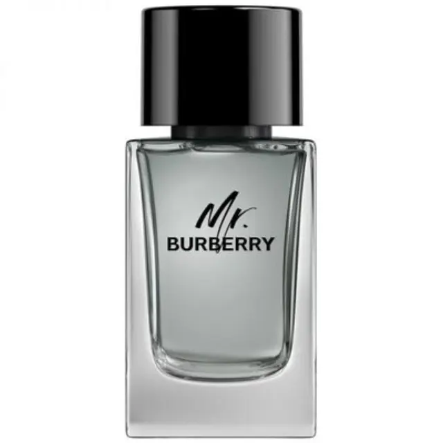 Burberry Mr. Burberry Eau de Toilette for men 100 ml